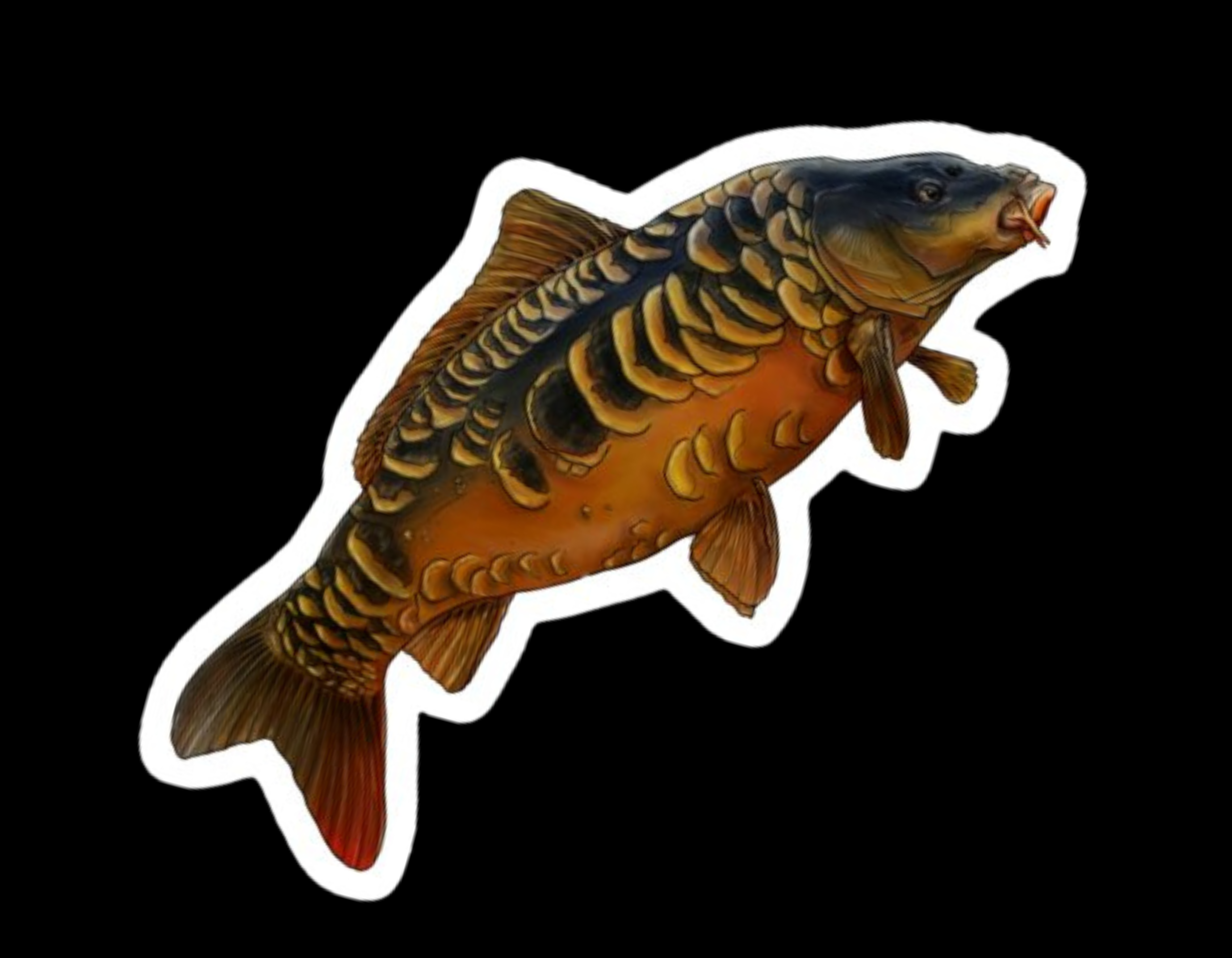 Fully Scale Mirror Carp Sticker